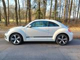 Volkswagen Beetle Sport 1.4 TSI / 160 PS / R-Line    - Volkswagen Beetle: Sport