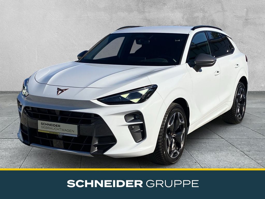 Image of Cupra Terramar