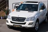 Mercedes-Benz ML 350 CDI Designo 2.HAND TOP SCHECKHEFT VOLL - Mercedes-Benz ML 350 in Essen