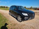 Mercedes-Benz ML 350 4MAtic  - Mercedes-Benz ML 350: Von Privat