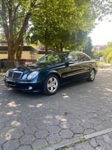 Mercedes-Benz E Klasse 270 CDI - Mercedes-Benz E 270: Cdi