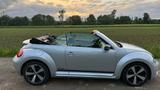 Volkswagen Beetle 2.0 TDI 81kW BMT CLUB Cabriolet CLUB - Volkswagen Beetle: TDI