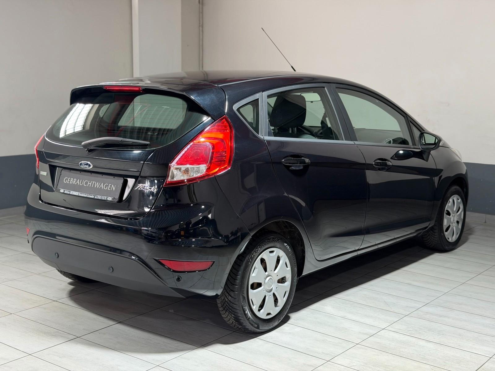 Ford Fiesta Edition Winterpaket USB PDC