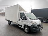 Opel Movano Maxi Koffer/Portaltüren Klima - Opel Gebraucht Kastenwagen