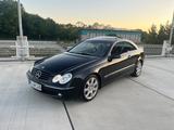 Mercedes-Benz CLK 500 ELEGANCE Elegance - Mercedes-Benz CLK 500: Coupe