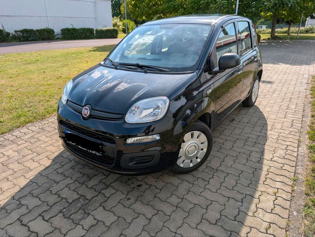 Image of Fiat Panda