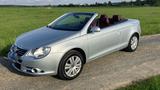 Volkswagen EOS 1.6 FSI Top Zustand Tüv neu Leder rot - Volkswagen Eos: R