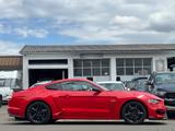 Ford Mustang GT Fastback 5.0*SHELBY OPTIK*KUNDENAUFTR - Ford: Shelby