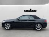 BMW 218i Cabrio Advantage| Aut.|Leder|SH|HIFI|Kamera - gebrauchte BMW 218 aus dem Jahr 2015