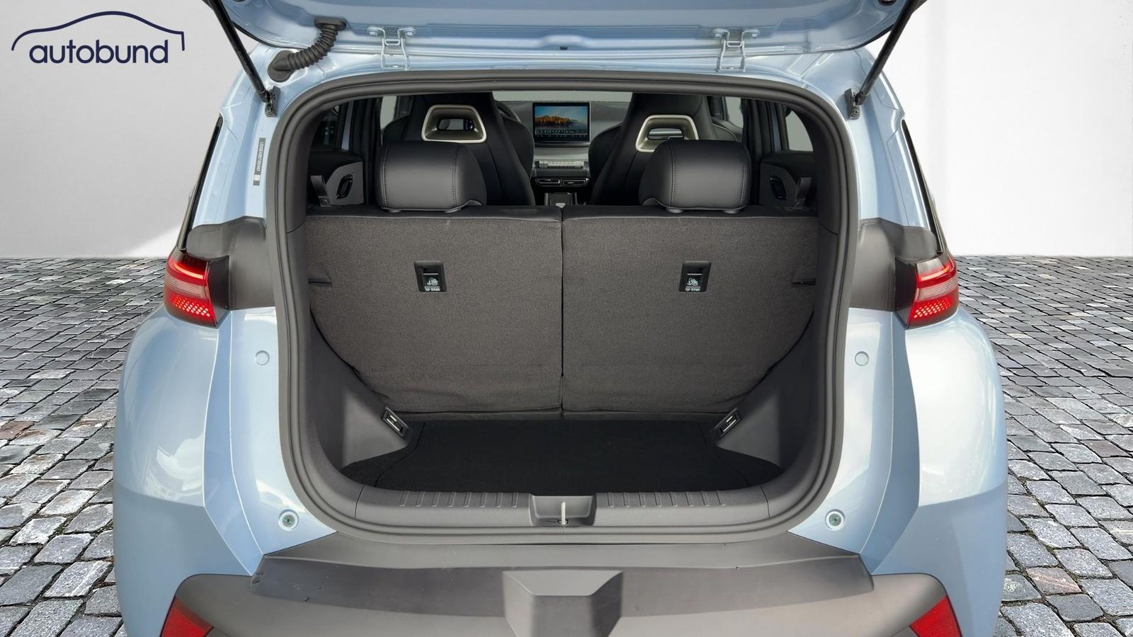 BYD DOLPHIN SURF