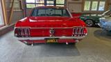 Ford Mustang V8 4,7 Liter TÜV/H neu DISC BKV Servo - Ford Gebrauchtwagen von 1967