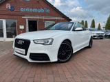 Audi RS5 Cabriolet 3.0 TFSI quattro RS5 BODY - Audi: Cabrio, RS