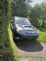 Subaru SUBARU FORSTER 2.0TDI - Subaru Forester: Limousine