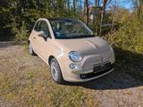 Fiat 500 1.2 8V Pop Pop - Fiat 500: Beige