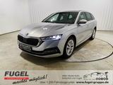 Skoda Octavia 1.5 TSI First Edition LED|HuD|Navi|ACC - Skoda Octavia Edition mit Benzin-Antrieb