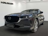 Mazda CX-30 Exclusive-Line G-140 AT mit Matrix-LED, Bo - Mazda CX-30 in München
