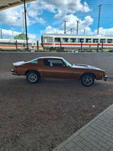 Chevrolet Camaro 1974 - Chevrolet Camaro Gebrauchtwagen in Hamburg