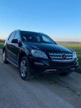 Mercedes-Benz ML 350 CDI 4MATIC - - Mercedes-Benz ML 350 aus 2010