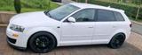 Audi A3 8P Sportback 2.0 TFSI  US Modell - Audi A3 aus 2007: 2.0