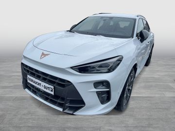 Cupra Terramar - 1