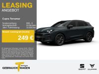 Cupra Terramar - Vorschau Bild 1