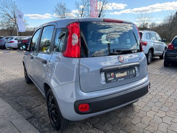 Fahrzeugabbildung Fiat Panda Easy DAB+ UConnect Klima SHZ uvm.