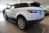 Land Rover Range Rover Evoque 2.2 TD4 Coupe Pure Couoe Lede - Land Rover Range Rover: Weiß