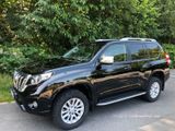 Toyota Land Cruiser Executive - Toyota Land Cruiser: Executive