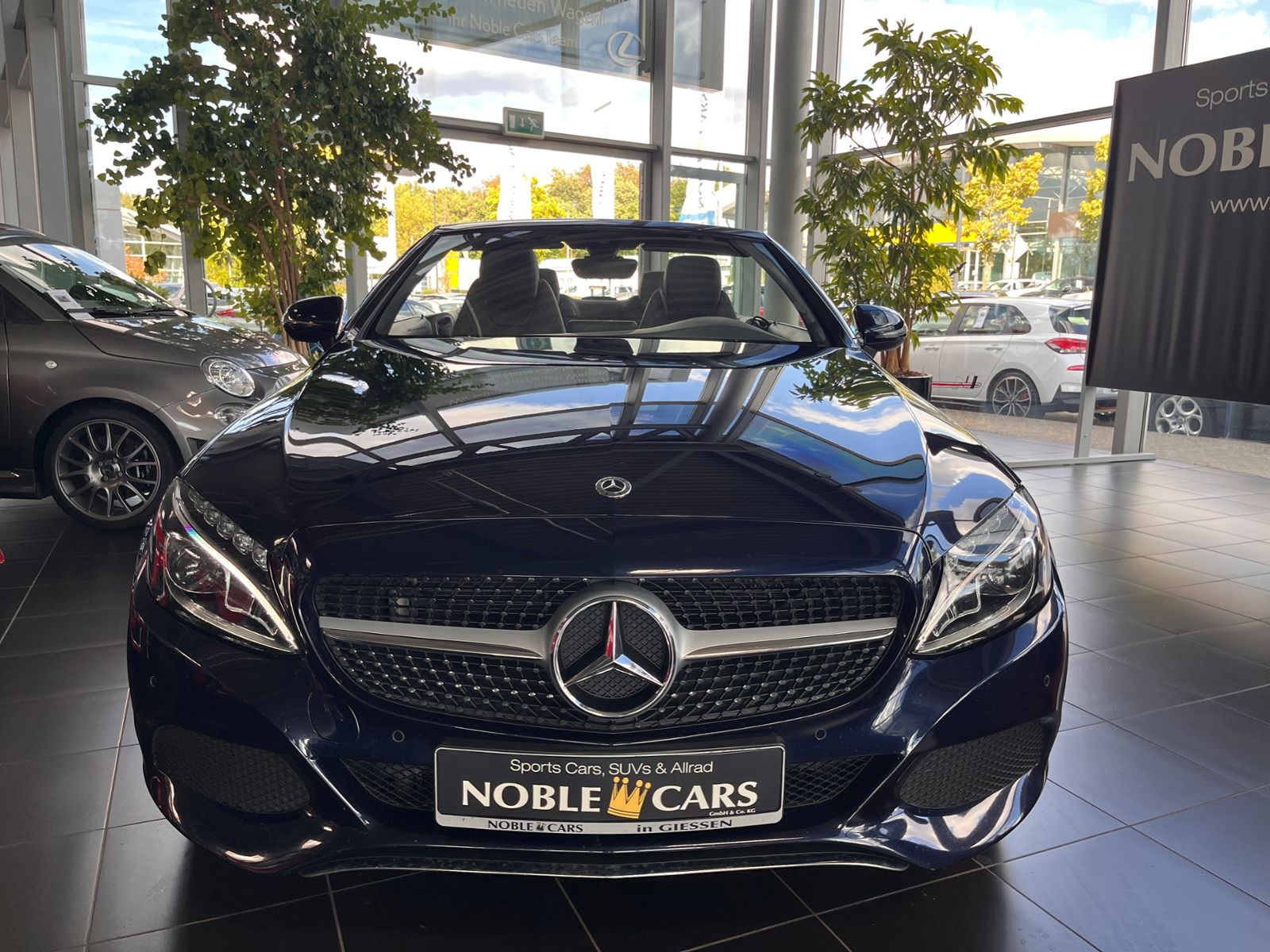 Fahrzeugabbildung Mercedes-Benz C 300 Cabrio  9G-TRONIC LED NAV SHZ PDC 17"