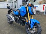 Honda MSX125 + 6 Jahre Garantie - NEU - 0KM - HONDA MSX