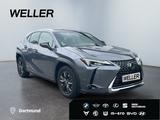 Lexus UX 250h Launch Edition *Bi-LED*ACC*CAM*SHZ*Navi* - Lexus UX Gebrauchtwagen