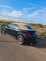 Volkswagen Beetle  Cabriolet  - VW Beetle von privat
