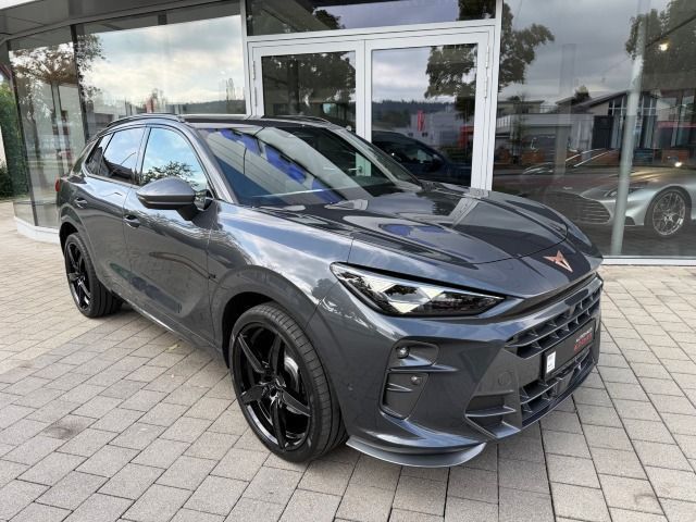 Image of Cupra Terramar
