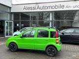 Fiat Panda 1.2 8V Dynamic - Fiat Panda in Ludwigshafen