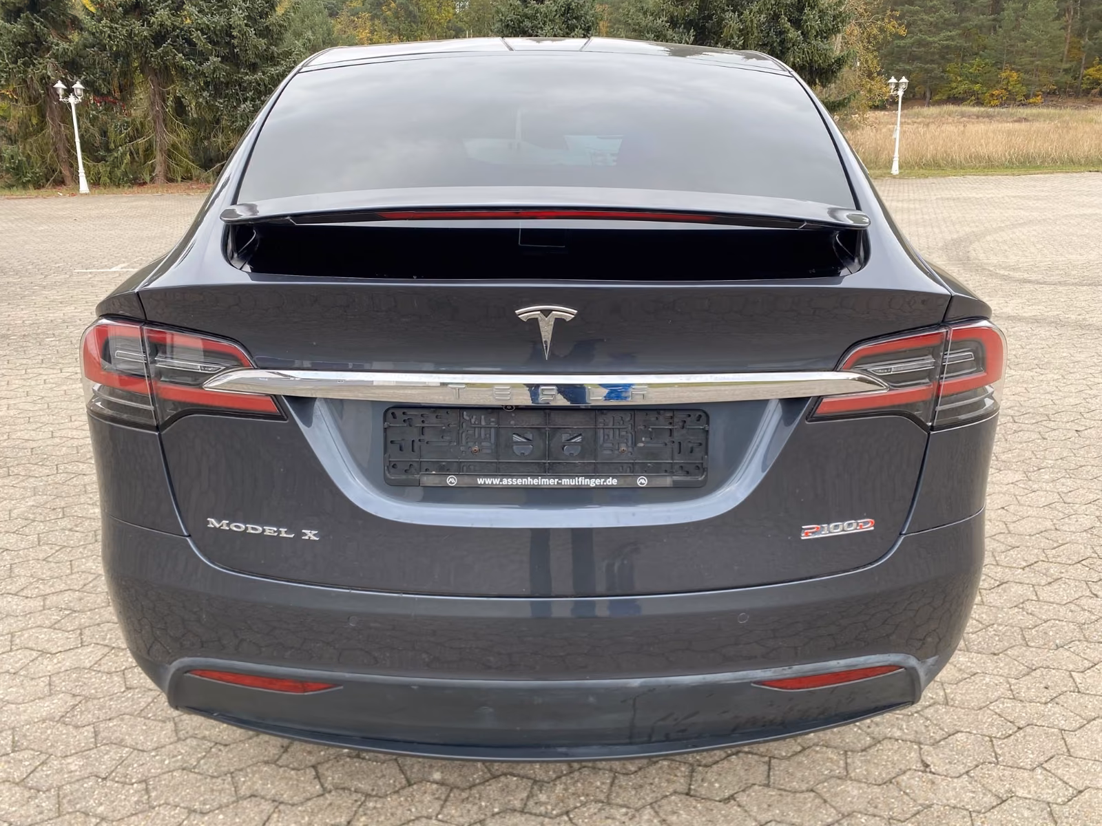 TESLA MODEL X P100D PERFORMANCE DUAL 6 PLACES