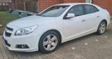 Chevrolet Malibu 2.0 Diesel 2012 - Chevrolet Malibu Gebrauchtwagen