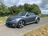 Volkswagen Beetle 1.2 TSI BMT ALLSTAR Cabriolet ALLSTAR