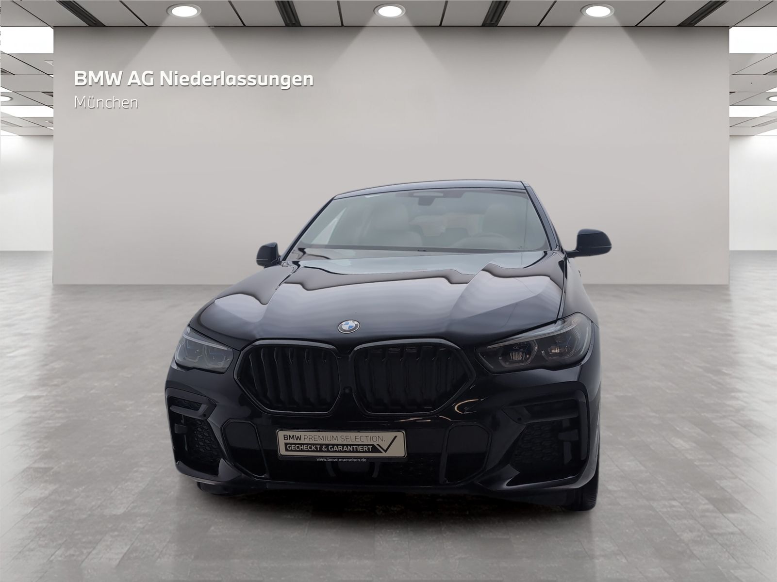 BMW X6 xDrive40d M Sport AHK Driv.Assist.Prof Laser foto 3