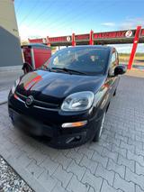 Fiat Panda - Fiat Panda Gebrauchtwagen in Karlsruhe