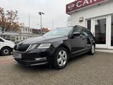 Skoda Octavia Combi 2.0 TDI DSG Business-Paket - Skoda Octavia: Business