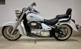 Suzuki Intruder C800 - SUZUKI INTRUDER C800