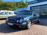 Mercedes-Benz CLK 230 KOMPRESSOR AVANTGARDE Cabrio, Leder, Aut - Mercedes-Benz CLK 230 in Essen