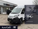Fiat Ducato 35 L2H2 AHK RüKa CarPlay Allwetter - Fiat Ducato Neuwagen