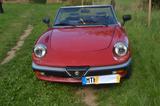 Alfa Romeo Spider - Alfa Romeo aus 1986