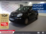 Fiat Panda Hybrid MY25  1,0 GSE 51kW (70 PS) City-Pak - Fiat Panda Neuwagen mit Benzin-Antrieb