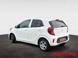 Kia Picanto 1.0 AMT VISION Kamera Navi Apple Android - gebrauchte Kia Picanto aus dem Jahr 2024