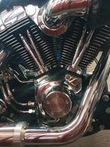 Harley-Davidson Softail FXSTC Custom  - HARLEY-DAVIDSON FXST