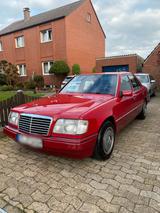 Mercedes-Benz Mercedes Benz 250d W124 (H-Zulassung) - Mercedes-Benz 250: W124 250d