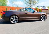 Audi A5 2.0 TDI 140kW quattro Cab. - - Audi A5: Braun, Leder