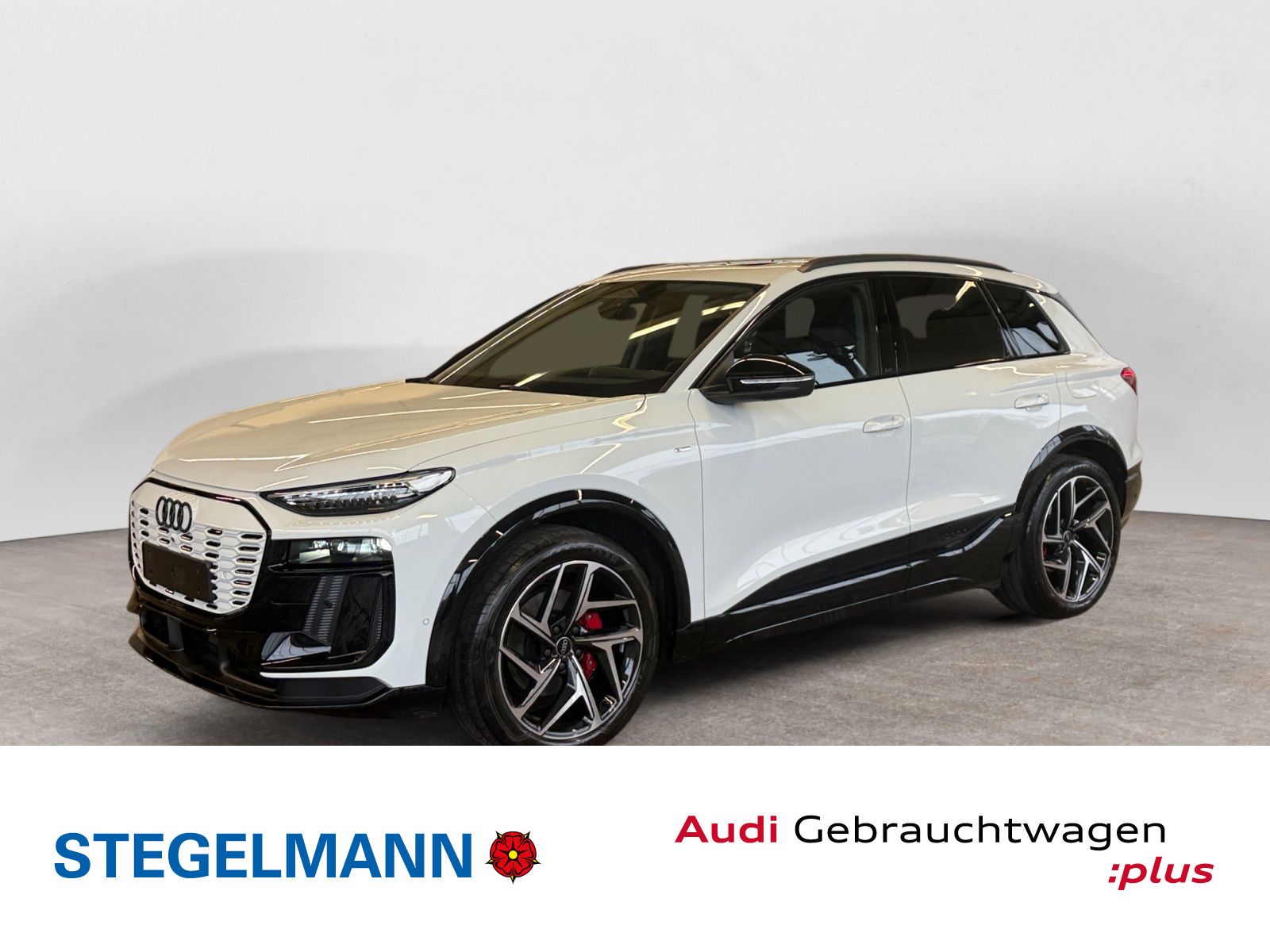 Audi Q6 e-tron S-Line*Matrix*Pano*